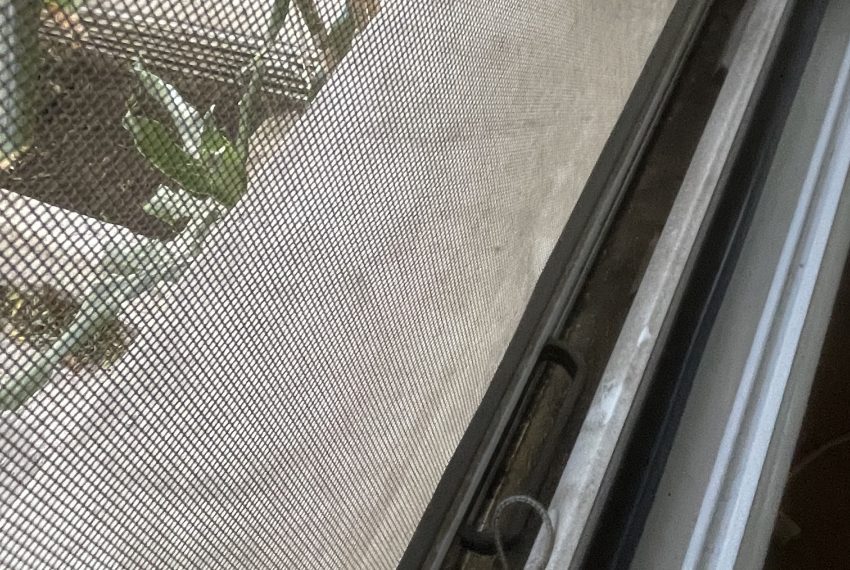 Photo 11-6-25, 12 36 55