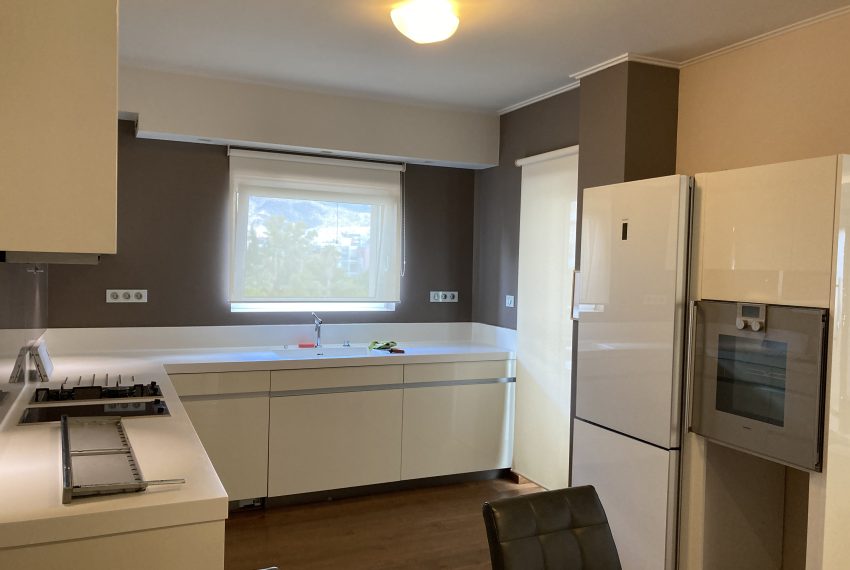 Photo 3-9-21, 12 36 36