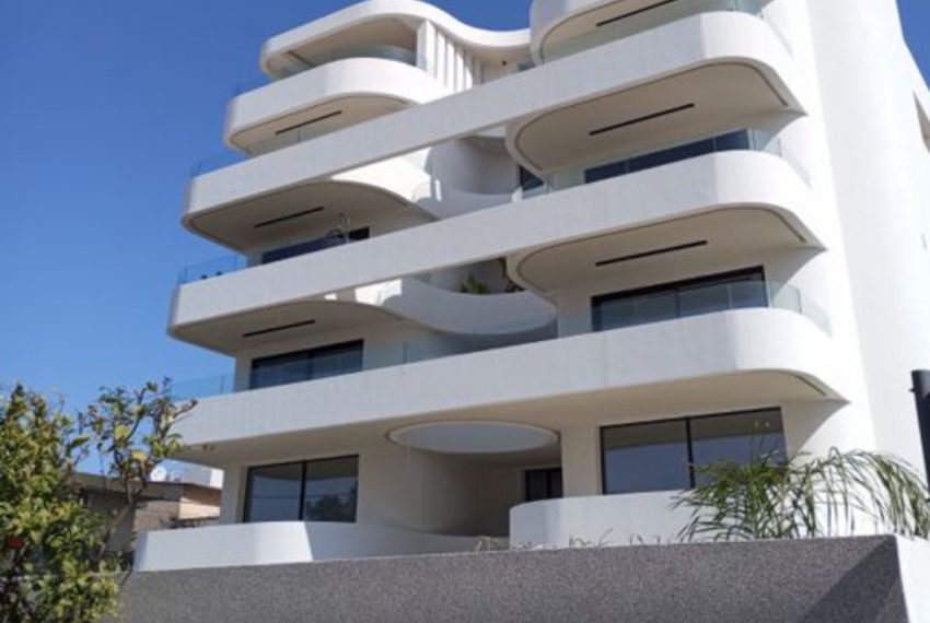 Photo 11-11-25, 18 47 31 (14)