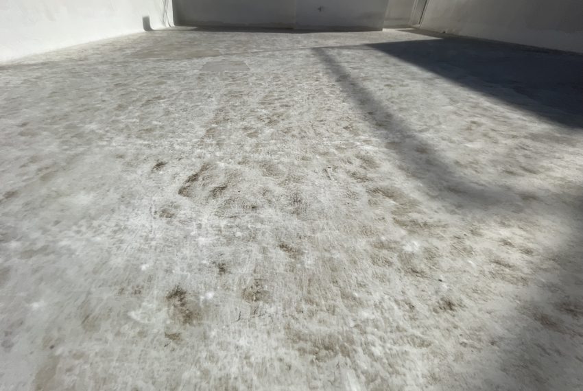 Photo 7-2-26, 13 45 41