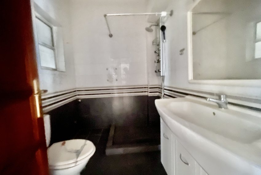 Photo 6-3-26, 14 10 37