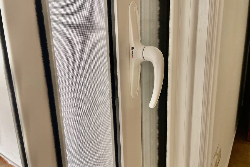 Photo 6-3-26, 14 11 09