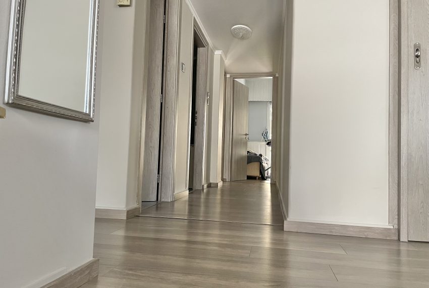 Photo 7-3-26, 14 05 27