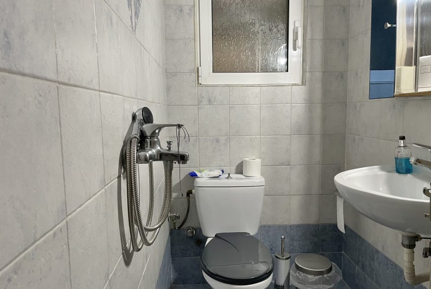 Photo 7-3-26, 14 08 07