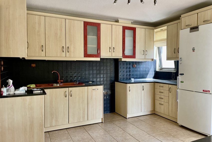 Photo 4-4-26, 12 00 48